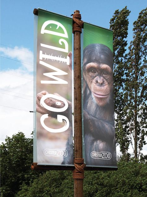 Chester Zoo on Behance Zoo Branding, Zoo Marketing, Zoo Signage, Zoo Logo, Zoo Photos, Chester Zoo, Studio Music, Sign Board Design, City Flags