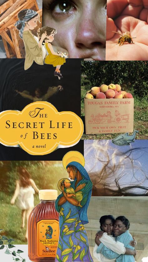 𝓣𝓱𝓮 𝓼𝓮𝓬𝓽𝓮𝓽 𝓵𝓲𝓯𝓮 𝓸𝓯 𝓫𝓮𝓮𝓼 #thesecretlifeofbees #books #shuffle #nature #vibes #vintage Bees Aesthetic, The Secret Life Of Bees, Nature Vibes, Bee Movie, Book Show, Secret Life, Classic Movies, Film Stills, Family Farm