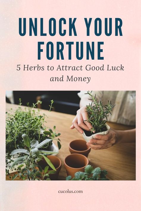 #GoodLuckHerbs #MoneyMagic #HerbAlchemy #FortuneBoost Mint Plants, Clear Negative Energy, Money Magic, Attract Money, Good Fortune, Financial Success, Negative Energy, Find A Job, Spiritual Practices