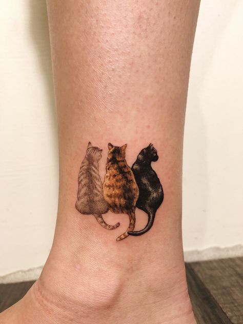 Mini realism cat tattoo commission by Andie Trépanier at @canvascollectivetattoo. Original art, do not copy. Real Cat Tattoo, Multi Pet Memorial Tattoo, Multi Cat Tattoo, Tattoo For Pet Cat, Cat Name Tattoo, Cat Tattoo Designs Unique, 3 Cats Tattoo, Cat Eyes Tattoo, Calico Cat Tattoo