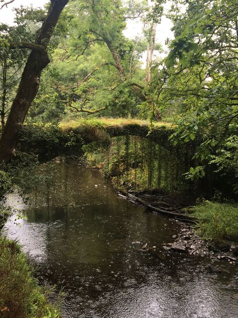 Pretty little bridge #forest #bridge #river #green #cottagecore #vines #aesthetic #wales French Forest Aesthetic, Forest Bridge Aesthetic, Nature Widgets Aesthetic, River Forest Aesthetic, River In Forest Aesthetic, Indie Forest Aesthetic, River Asthetic Picture, Rivercore Aesthetic, Cottagecore Aesthetic Boy