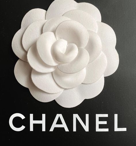 Vogue Aesthetic, Chanel Rose, Blue Leaves, Luxury Brands, Vs Pink, Rose Flower, Luxury Branding, Chanel, Vogue