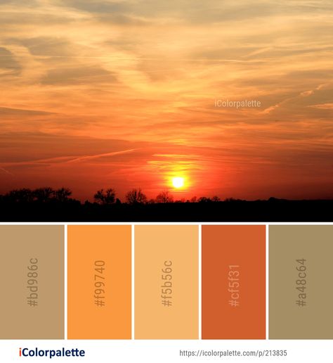 Color Palette ideas from 1479 Sunrise Images | iColorpalette Orange Sunset Color Palette, Golden Hour Color Scheme, Muted Sunset Color Palette, Color Palette Sunrise, Sun And Moon Color Palette, Sun Colour Palette, Sunrise Colour Palette, Sun Color Palette, Sunrise Color Palette