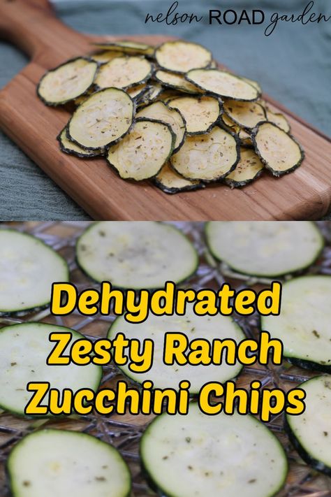 Ranch Zucchini, Dehydrated Zucchini Chips, Dehydrator Recipes Fruit, Dehydrating Food Storage, Zucchini Chips Recipe, Zesty Ranch, Food Dehydration, Dehydrating Food, Vegetable Chips