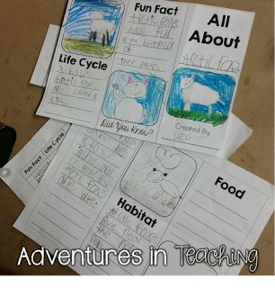 Zoo Animal Research Project, First Grade Animal Research Project, 1st Grade Animal Research Project, Animal Needs First Grade, Animal Reports 2nd Grade, 2nd Grade Animal Research Project, Ocean Animal Research Project, Elementary Research Project Template, First Grade Research Project Ideas