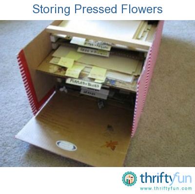 Pressed Flower Storage Ideas, Dried Flower Storage Ideas, How To Store Dried Flowers, Pressed Flower Storage, Flower Storage, Folder Tabs, Pressed Flowers Diy, Press Flowers, Flowers Pressed