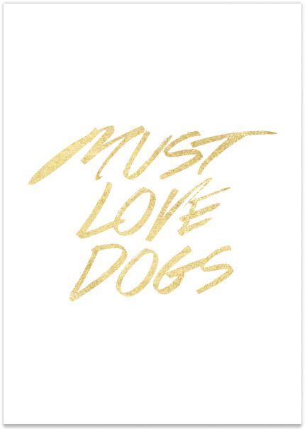 ... Must Love Dogs, Crazy Dog Lady, Crazy Dog, Animal Quotes, Dog Quotes, Dog Print, I Love Dogs, Dog Life, Dog Love