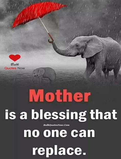 mother quotes | mother quotes from daughter | mother quotes to children | mother quotes inspirational | mother quotes in hindi | mother quotes to daughter | mother quotes in urdu | mother quotes to son | Pray to God - Jesus - Prayers - Inspiration - Quotes -Mother Mary | Happy Mothers Day Quotes | Okay Mother- Healthy snacks- Diets - Parenting - vegetarian recipes - Motivational Quotes | #MotherQuotes | #motherquotes Mother Son Quotes In Hindi, Happy Mothers Day Quotes In Hindi, Quotes On Mother In Hindi, Mothers Love Quotes For Her Sons, Happy Mothers Day Quotes In Urdu, Mother Daughter Quotes In Urdu, Strong Mother Quotes Inspiration, Quotes For Mothers Day From Daughter, Happy Mothers Day Quotes From Daughter