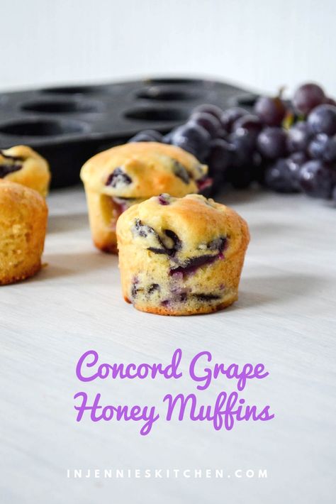 A quick & easy muffin recipe for busy weekdays, and refined sugar-free! Concord Grape Honey Muffins by Jennifer Perillo | In Jennie's Kitchen Grape Muffin Recipes, Honey Muffins Recipe, Grape Cake, Grape Pie, Honey Muffins, Concord Grapes, Fruit Plus, Homemade English Muffins, Refined Sugar Free Recipes