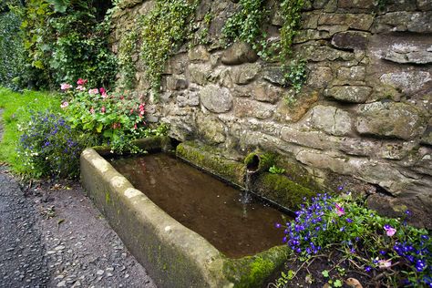 Stone Trough, Backyard Fountain, Water Trough, Fountains Backyard, West England, Cottage Garden Design, Cottage Garden Plants, Water Features In The Garden, Fountains Outdoor