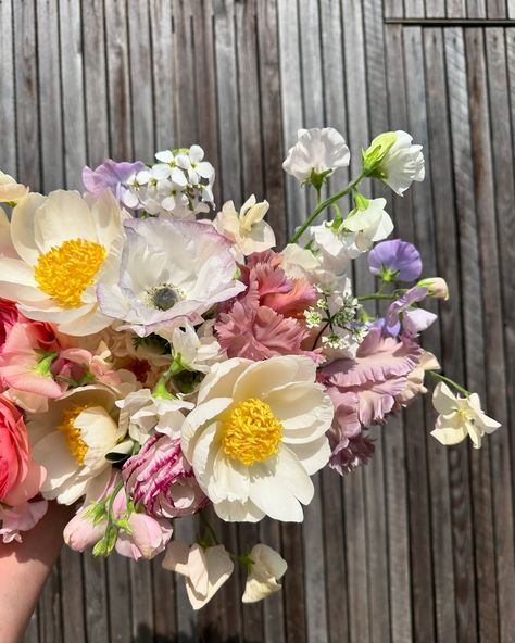 A few bouquets from the month of May. Filled with plenty of peonies, daisies, garden roses, sweet peas and ranunculus. . . . . #elderandwild #bridalbouquet #gardenstylebouquet #nottinghamflorist Sweet Pea Bouquet, Daisy Bouquet, Month Of May, Sweet Peas, Pink Bouquet, Garden Roses, Ranunculus, Garden Styles, Sweet Pea