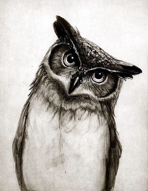 40 Realistic Animal Pencil Drawings Realistic Owl Tattoo, Easy Pencil Drawings, Owl Tattoo Drawings, Realistic Animal Drawings, Drawing Heart, Owl Sketch, Vogel Tattoo, Tree Drawings Pencil, Pencil Drawings Of Animals