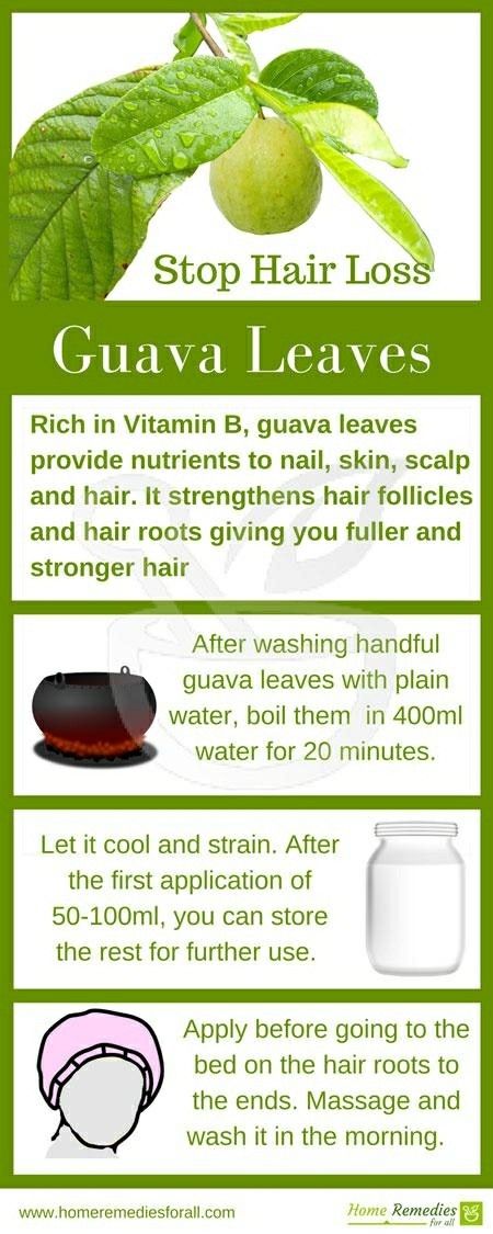 Guava Leaves For Hair, Hair Growth Remedy, Regrow Lost Hair, Hair Fall Remedy, Thick Hair Remedies, Guava Leaves, Regrow Hair, Thicker Hair, Diy Hair Care