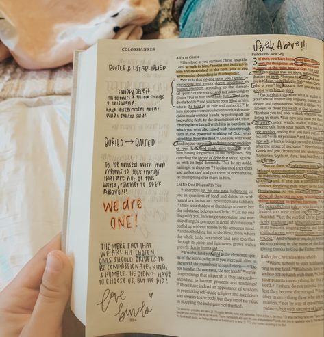 Colossians Bible Study, Colossians Bible Journaling, Bible Highlights, Bible Decor, Bible Highlighting, Journaling Aesthetic, Bible Journaling Ideas Drawings, Bible Journal Notes, Bible Doodling