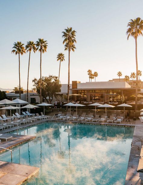 Pools & Cabanas | Andaz Scottsdale Resort Scottsdale Botanical Garden, The Canal Club Scottsdale, Old Town Scottsdale Arizona, Scottsdale Resorts, Poolside Cabana, The Phoenician Scottsdale, Camelback Mountain, Pool Cabana, Desert Oasis