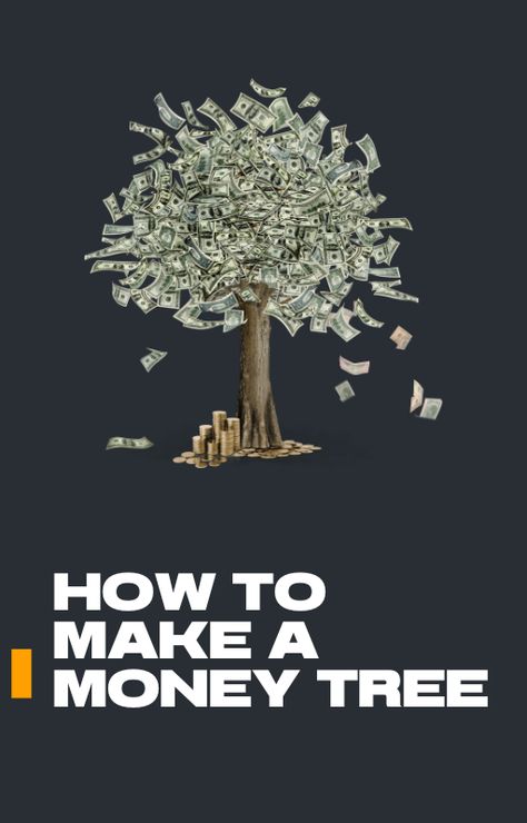 A money tree is a creative and meaningful way to give cash as a gift. Unlike a simple envelope or card, a money tree presents cash in a visually appealing and fun form, making it a memorable gift for birthdays, weddings, graduations, or holidays. Want to learn how to make a money tree? This guide will walk you through different ways to craft one, including the materials you’ll need, step-by-step instructions, and tips for adding a personal touch. Wedding Money Tree Ideas, Gift Card Money Tree, Money Grows On Trees, How To Make A Money Tree, Baby Shower Money Tree, Money Tree Wedding, Money Tree Ideas, Money Tree Gift, Cash As A Gift