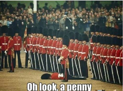 Oh look, a penny Oh Look A Penny, William Bonner, British Guard, Charles Lindbergh, British Things, Funny Pictures With Captions, A Penny, Have A Laugh, Buckingham Palace