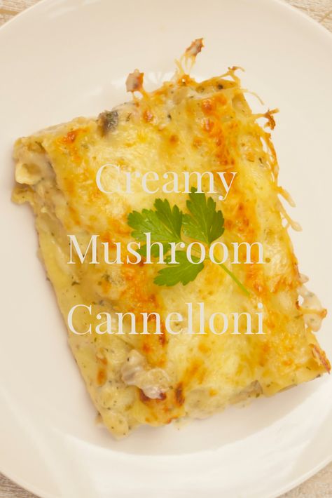 Mushroom Cannelloni, Lasagna Stuffed Shells, Caneloni Recipe, Spinach Cannelloni, Fasta Pasta, Mushroom Bolognese, Creamy White Sauce, Cannelloni Recipes, Vegetarian Mains