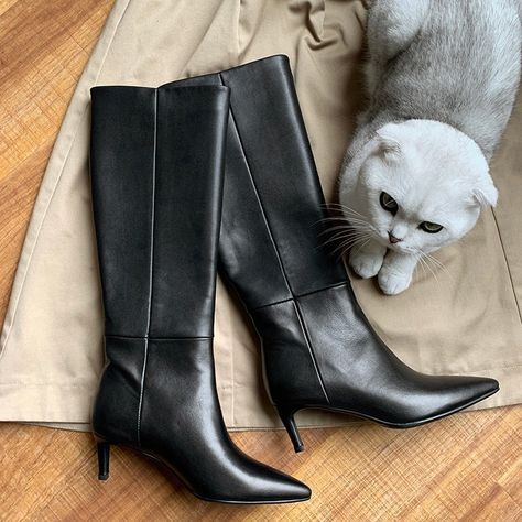 Pointed ankle boots