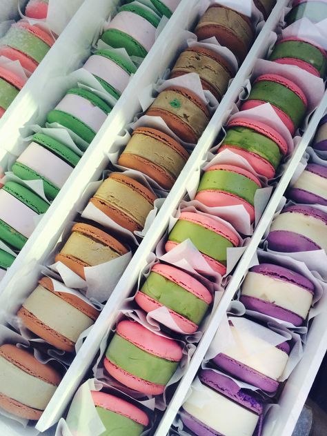 Macaron ice cream sandwiches Ice Cream Macarons, Macaron Ice Cream, Macaron Ice Cream Sandwich, Macaron Filling, Gelato Shop, Baking Packaging, Ice Cream Pops, Yogurt Smoothies, Ice Cream Sandwiches