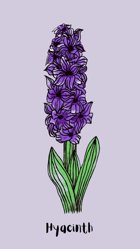 Pretty vintage inspired botanical floral design. A delightful print for anyone who loves hyacinth flowers, or a perfect gift for someone. Available in a range of accessories. Hyacinth Illustration, Hyacinth Drawing, Purple Hyacinth Flower, Inspiring Drawings, Tattoo Fixes, Hyacinth Flower, Hyacinth Flowers, Purple Hyacinth, Journal 2024