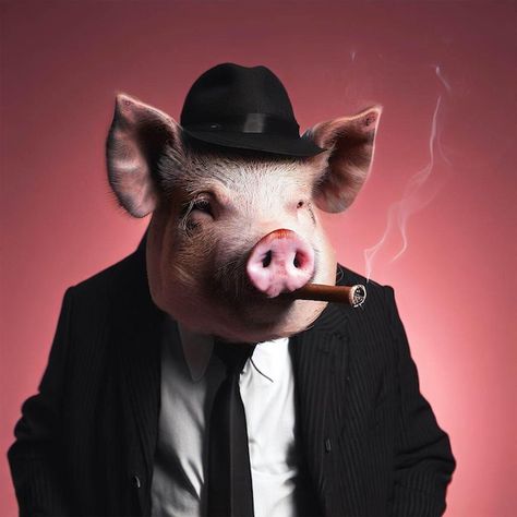 Un cerdo con un cigarro y un sombrero es... | Premium Photo #Freepik #photo #cerdo-dibujo #cerdo #cerdo #dibujos-animales Funny Frogs, Like Image, Funny Quotes Sarcasm, Animal Farm, Ceramic Animals, Design Graphique, Premium Photo, Farm Animals, Rock And Roll