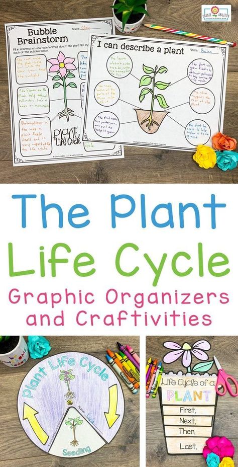 Plant Life Cycle Project, Plants Life Cycle Activities, Plant Life Cycles, Teaching Plants, Life Cycles Activities, Plants Unit, Science Rules, Create Name, Plant Life Cycle