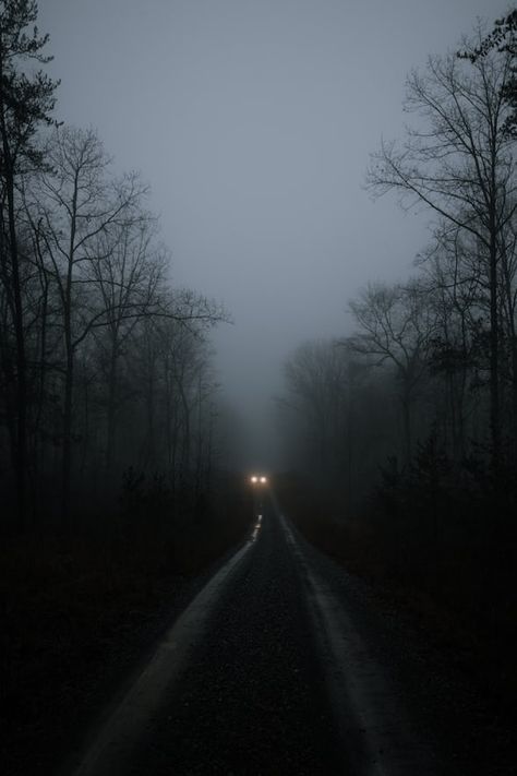 black concrete road during daytime photo – Free Road Image on Unsplash Quick Money Online, Dark Forest Aesthetic, Forest Walk, Dark Tree, Foggy Forest, Forest Wallpaper, Dark Forest, Wallpaper Downloads, Enchanted Forest