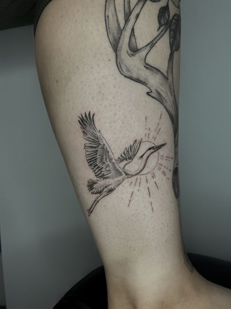 Bird Tattoo Placement Ideas, Bird Tattoos For Women Leg, Roseate Spoonbill Tattoo, Fine Line Crane Tattoo, Fine Line Heron Tattoo, Flying Heron Tattoo, Crane Tattoo Leg, Spoonbill Tattoo, Blue Heron Tattoo Small