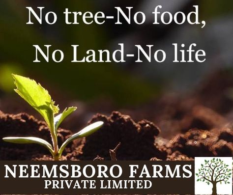 #NeemsboroFarms #Farm Land Best Slogans, Environment Day Quotes, Earth Posters, Save Earth Posters, World Environment Day Posters, Ecosystem Restoration, Recycling Lessons, Eco Quotes, Slogan Writing