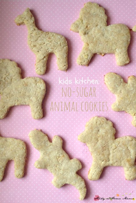 Kids Kitchen: Sugar-free Animal Cookies recipe made by kids. An easy healthy recipe for cookies that kids will love! Cookies Receita, Animal Cookies Recipe, Snack Meals, Healthy Cookies For Kids, Recipe For Cookies, Toddler Cookies, Sugar Animal, Perfect Snacks, Cookies Kids