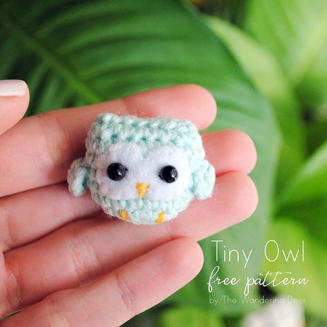 Vivika Vaina on Instagram: "Free pattern: Tiny owl ❤️ Another old pattern, made hundreds of times. I can’t think of a color I haven’t made an owl like this one! I realized yesterday I didn’t have a single one in my amigurumi drawer, so I made this one after midnight. It’s been so long since I stayed up late crocheting and I enjoyed it (didn’t enjoyed the 7am wake up though 😴) Don’t forget to use the hashtag #wanderingdeer in your post so I won’t miss any of the cuties you make with my patterns! Owl Crochet Pattern Free, Owl Crochet, Owl Crochet Patterns, Owl Pattern, Crochet Keychain Pattern, Crochet Owl, Tiny Bird, After Midnight, Owl Patterns