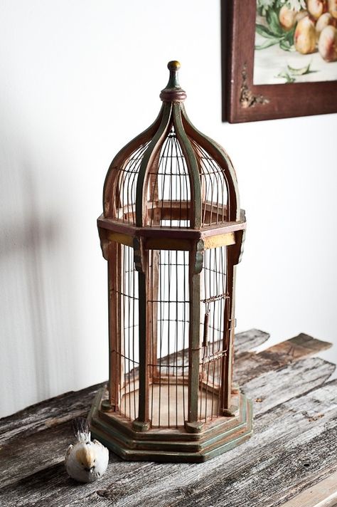 vintage bird cage Bird Cages Aesthetic, Victorian Bird Cage, Wood Cage Bird, Old Bird Cage, Cage Decor, Ornate Bird Cage, Bird Nests, Vintage Bird Cage, Bird Cage Decor