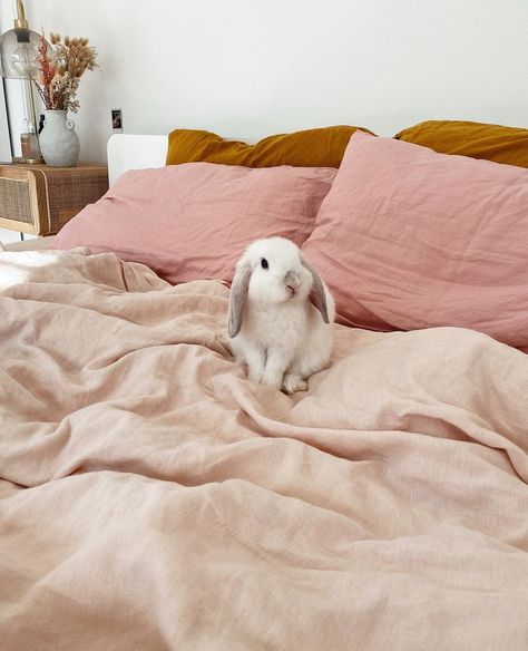 I LOVE LINEN on Instagram: “Be inspired by this feminine bed draped in Blush, Wildflower & Mustard French linen by angel @gabriellasmith__ 🐇 Rabbits not included 💔” Bed Drapes, Linen Sheet Sets, Pet Bunny, Aesthetic Rooms, Baby Bunnies, French Linen, Cheap Home Decor, 귀여운 동물