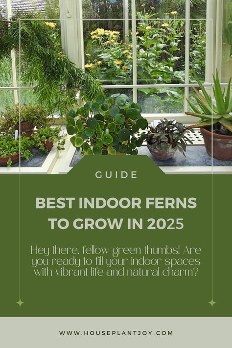 Fern-tastic Indoor Plants! 🌿

Elevate your indoor spaces with the lush beauty of ferns. 🌱 These low-maintenance beauties bring a touch of nature indoors.

#indoorplants #ferns #plantlover #homedecor #greenery Fern Varieties Indoor, Types Of Fern Plants, Fern Varieties, Indoor Ferns, Types Of Ferns, Fern Plant, Fern Green, Nature Indoors, Plant Lover