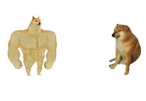 Doggo meme, new doggo meme, then vs now dog meme template, history vs now, then vs now, dog meme, america history meme, doge, doge meme, funny, bulldog, meme template, 700x480 meme, dog breeds, bulldog, independence, ww2, cat memes, hilarious meme, chihuahua, toy story, instagram dog meme Historical Humor, Doge Meme, Meme Show, Dog Meme, Then Vs Now, 16 Personalities, Mbti Personality, Fresh Memes, Top Memes