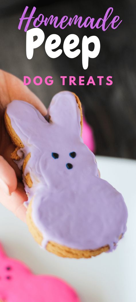 Homemade Dog Treat Packaging Ideas, Easter Dog Treats Recipe, Cute Homemade Dog Treats, Dog Sprinkles Recipe, Dog Treats That Look Like Human Food, Spring Dog Treats, Easter Dog Treats Homemade, Dog Treat Cookies, Fancy Dog Treats