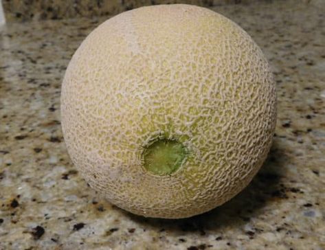 How to Know When Cantaloupes are Ripe - Ripe Western Grower Cantaloupe How To Ripen Cantaloupe, How To Pick A Ripe Cantaloupe, Picking Watermelon, Ripe Cantaloupe, Best Coleslaw, Best Coleslaw Recipe, Fruit Facts, Canteloupe, Fruit Growing