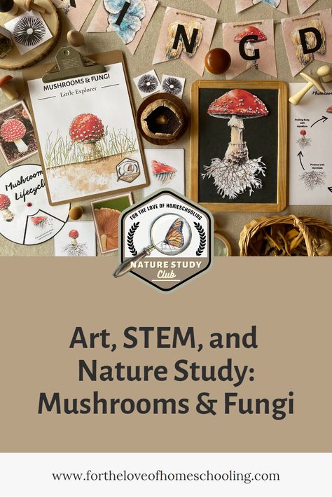 Mushroom Science Project, Homeschool Mushroom Study, Mushroom Unit Study Free, Mushroom Unit Study, Mushroom Preschool Activities, Mushroom Activities For Kids, Decomposers Activity, Mushroom Activities, Mushroom Crafts For Kids