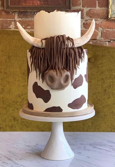 Country Cake Ideas Birthday, Highland Cow Shower Theme, Country Party Desserts, Long Horn Cow Cake, Cow Cake For Men, Cow Desert Ideas, Fluffy Cow Cupcakes, Shaggy Cow Cake, Bull Smash Cake