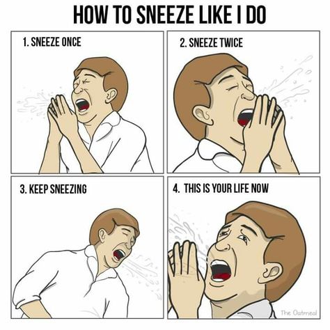 Sneezing Allergy Memes, The Oatmeal Comics, Allergies Funny, Perry Bible Fellowship, This Is Your Life, How To Make Comics, Funny Comics, New Memes, Funny Kids