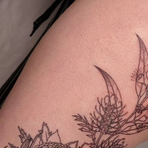 Flannel Flower Tattoo, Grevillea Tattoo, Waratah Tattoo Fine Line, Grevillea Line Drawing, Wattle Tattoo, Australian Wattle Tattoo, Flannel Flower, Botanical Tattoo, Beautiful Body