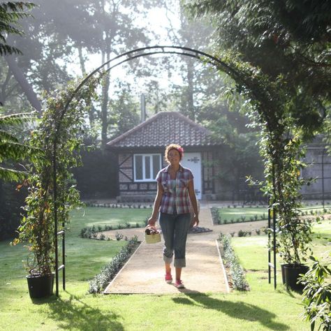 Archway Garden, Lattice Garden, Arch Garden, Roman Garden, Garden Archway, Allotment Gardening, Gothic Garden, Wheelchair Friendly, Garden Arches