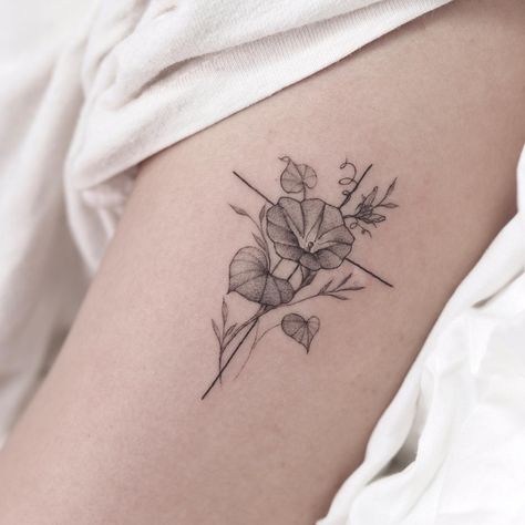 Morning Glory Tattoo Black And White, Small Morning Glory Tattoo, Aster And Morning Glory Flower Tattoo, Morning Glory Tattoo Simple, Hallelujah Tattoo, Moonflower Tattoo, Aster And Morning Glory, Flower Spine Tattoo, Aster Tattoo