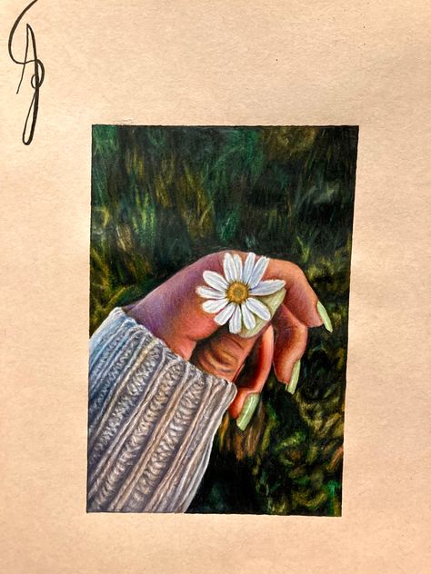 Realism art Prismacolor Realism, Prismacolor Drawing, Drawings Inspo, Prismacolor Art, Drawing Nature, Colored Pencil Drawings, Stuff To Draw, Fall Flower, Prismacolor Pencils