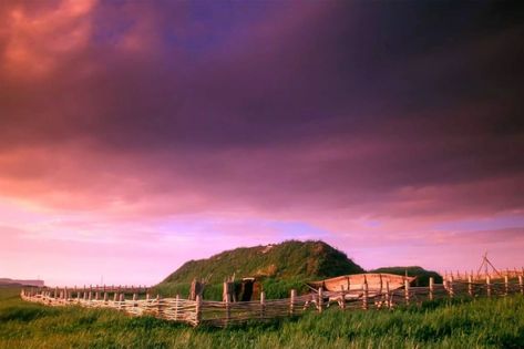 L'anse aux Meadows, near Newfoundland's Great Northern Peninsula | Ancient Viking Village predates Columbus by 500 years | Designated a national historic site in 1962 and a UNESCO World Heritage Site in 1978. | Fresh Daily L'anse Aux Meadows, Gros Morne National Park, Gros Morne, Viking Village, Parks Canada, Atlantic Canada, Archaeological Finds, See The Northern Lights, Newfoundland And Labrador