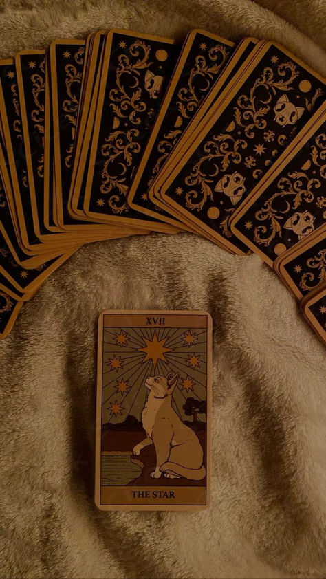 #tarot #cat #manifestation #tarotreading #aesthetic #spiritual #spirituality #cards Tarot Readings Aesthetic, Tarot Vibes Aesthetic, Magic Cards Aesthetic, Witch Tarot Aesthetic, Tarot Card Photography, Tarot Art Aesthetic, Tarot Aesthetic Dark, Tarot Cards Aesthetic Art, Shuffle Tarot Cards