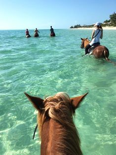 Ocean Riding, Jamaica Aesthetic Horse Riding, Horseback Riding Aesthetic, Funny Horse Pictures, Horse Riding Aesthetic, Beach Rides, Honeymoon Spots, Best Honeymoon, Horse Aesthetic, Most Beautiful Horses