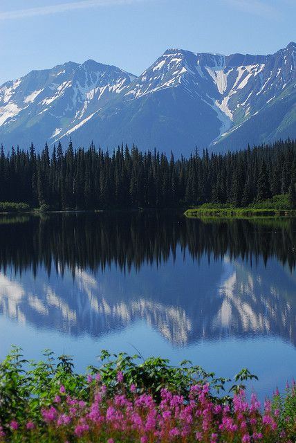 Yukon Territory - definitely the most beautiful place I have ever been to Yukon Territory Canada, Yukon Canada, Yukon Territory, Canada Photography, Travel Canada, Explore Canada, Bucket Lists, Quebec Canada, Cool Landscapes