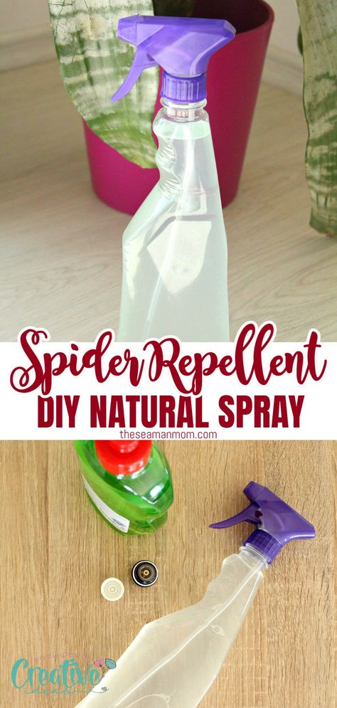 Natural Spider Repellent For Home, Natural Bug Repellent For Home, Spider Repellent Diy, Spiders Repellent Diy, Sketching Eyes, Natural Spider Repellant, Spider Repellent, Spider Spray, Repellent Diy